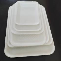 Foam plate with different size